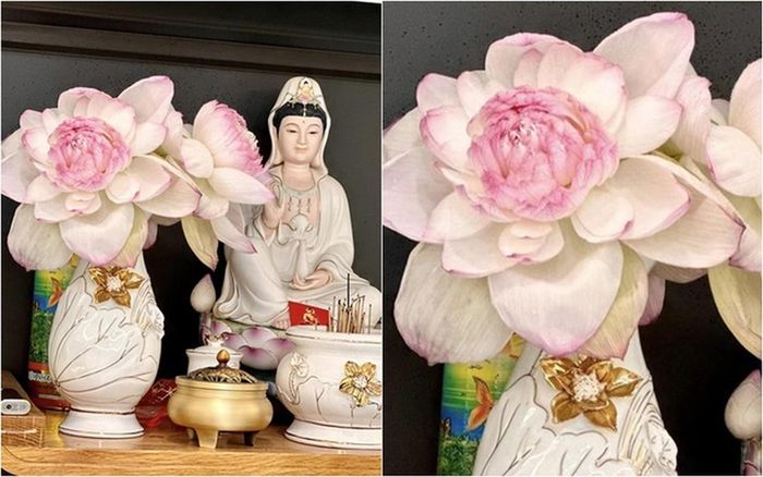 Nữ ca sĩ chia sẻ vào đầu tháng âm lịch: "Mùng 1 con cắm hoa sen, mẹ thương mẹ độ cho Ốc sớm khỏe lại nha mẹ".