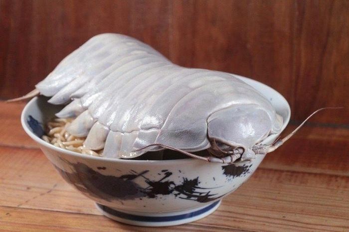  Nhà hàng khác ở Đài Bắc cũng gây xôn xao dư luận với món mì bọ biển khổng lồ. Ảnh: TheRamenBoy. 