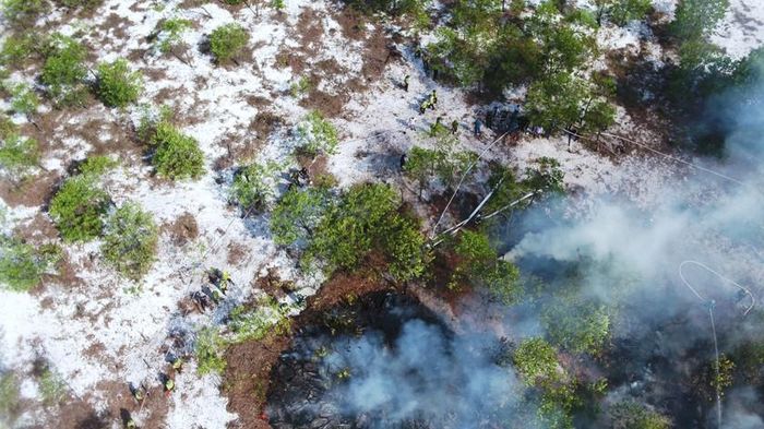 Theo đại diện Chi cục Kiểm lâm Quảng Nam, qua khảo sát, khu vực được chọn để diễn tập thưa thớt, ít cây. Mục đích của việc này cũng chỉ để tạo hiện trường tiệm cận với thực tế để người dân tham gia.
