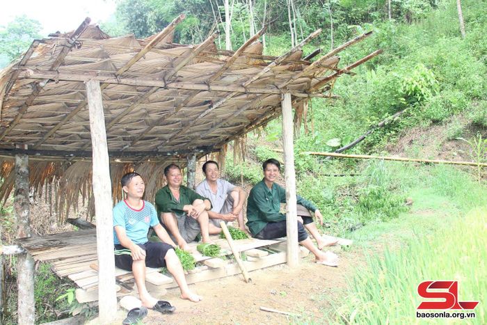Các thành viên Chi hội Nông dân dừng chân nghỉ bên cánh rừng Ảnh: Phạm Hoa