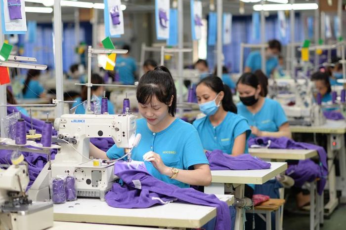 Trong tầm nhìn từ nay đến 2050, số hóa và xanh hóa là xu thế tất yếu của ngành dệt may.