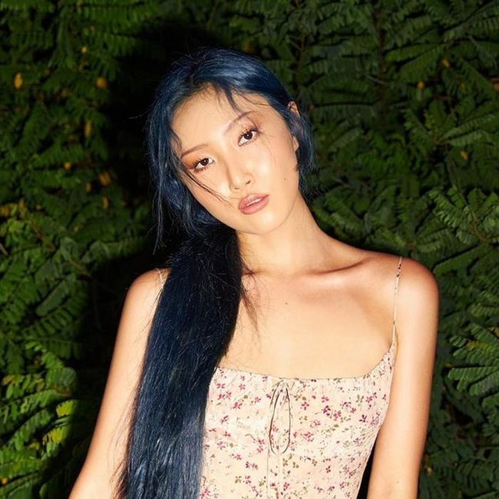Hwasa là một trong những nghệ sĩ Kpop được yêu thích nhất
