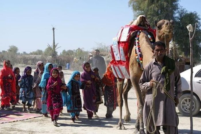 Trẻ em ra chào đón lạc đà Roshan. (Ảnh Reuters)