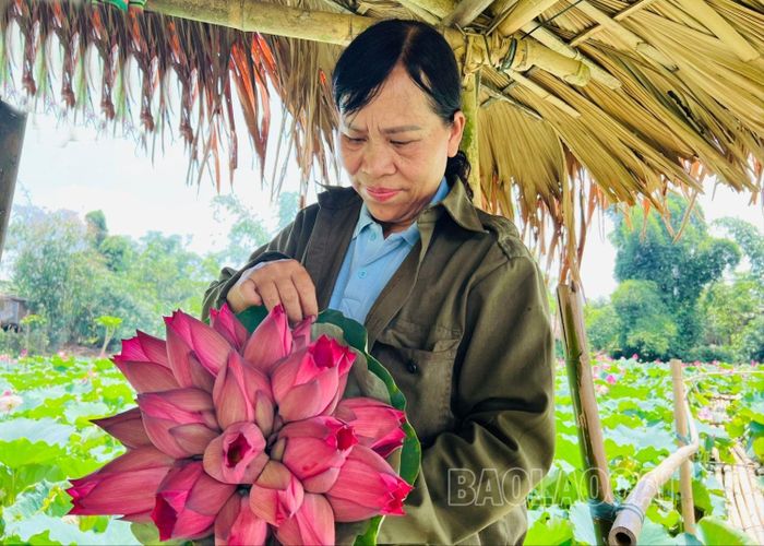Cùng với kinh doanh mô hình sinh thái tham quan, chụp ảnh, các chủ đầm còn bán các sản phẩm phụ từ sen, giúp nâng cao thu nhập.