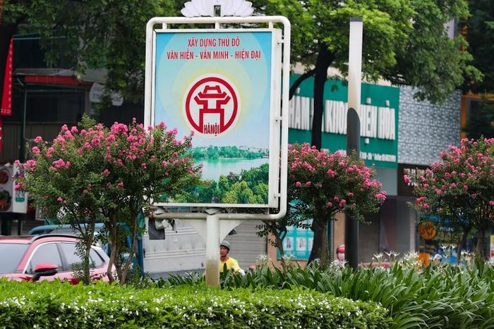 Hoa tường vi giúp cho hai tuyến phố Trần Duy Hưng và Nguyễn Chí Thanh của Hà Nội trở nên thân thiện hơn đối với người dân mỗi khi đi qua con đường này.CMS_BREAK_TA