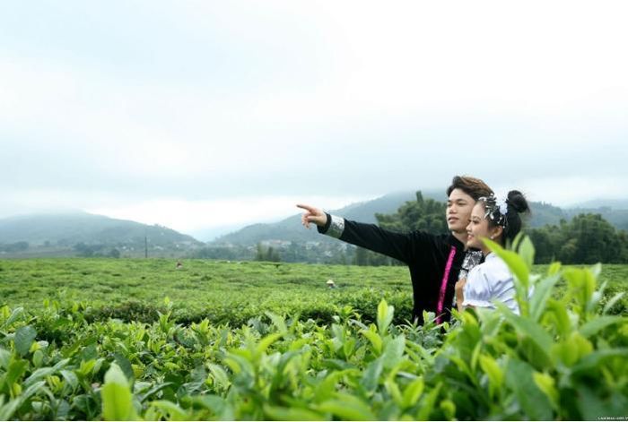 Đồi chè Tân Uyên được rất nhiều cặp đôi chọn làm địa điểm chụp ảnh làm kỷ niệm.