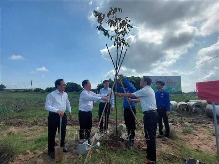 Năm 2021 - 2022, các ngành, địa phương và nhân dân trên địa bàn tỉnh Bến Tre đã trồng hơn 1,76 triệu cây xanh các loại.