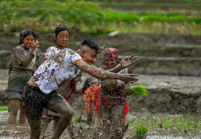 Sau khi cấy lúa xong, họ té nước trên những cánh đồng lầy lội, bôi bùn và cát lên nhau, và nhảy múa trước khi kết thúc lễ hội bằng một bữa tiệc linh đình.