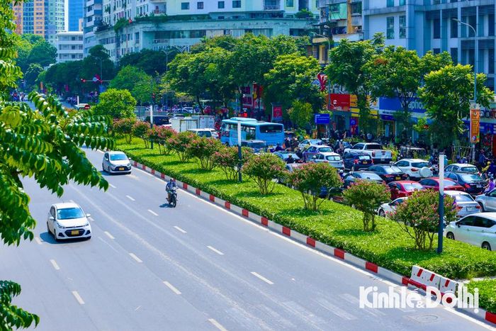 Đường Nguyễn Chí Thanh từng được coi là tuyến đường kiểu mẫu "đẹp nhất Việt Nam". Hoa tường vi nở rộ được trồng trên dải phân cách.