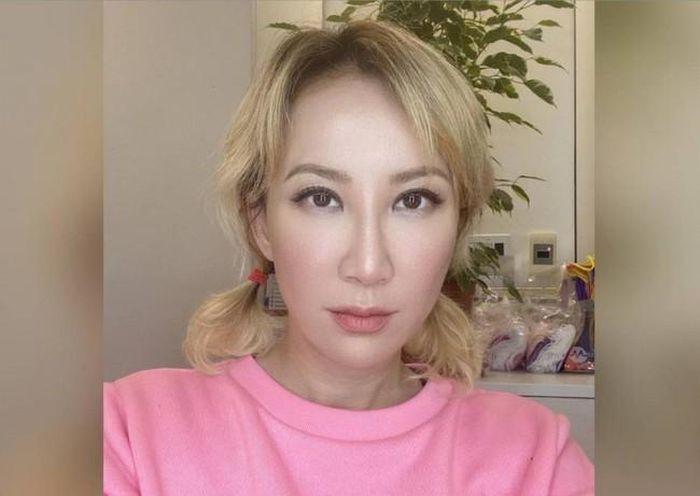 Coco Lee đã chiến đấu với chứng trầm cảm trong vài năm trở lại đây và mắc ung thư vú giai đoạn đầu