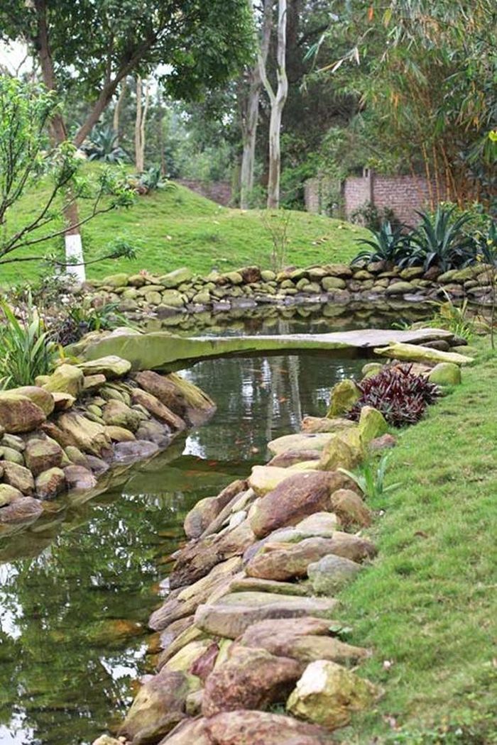 Không gian sân vườn rộng, có hồ nuôi cá của gia đình Mỹ Linh - Anh Quân