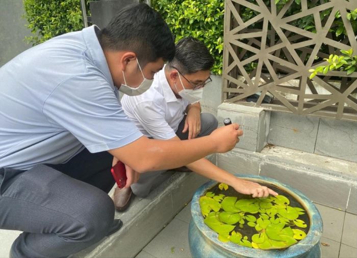 Nhân viên y tế kiểm tra loăng quăng trong bồn cây cảnh tại một hộ gia đình ở TPHCM. Ảnh: HCDC