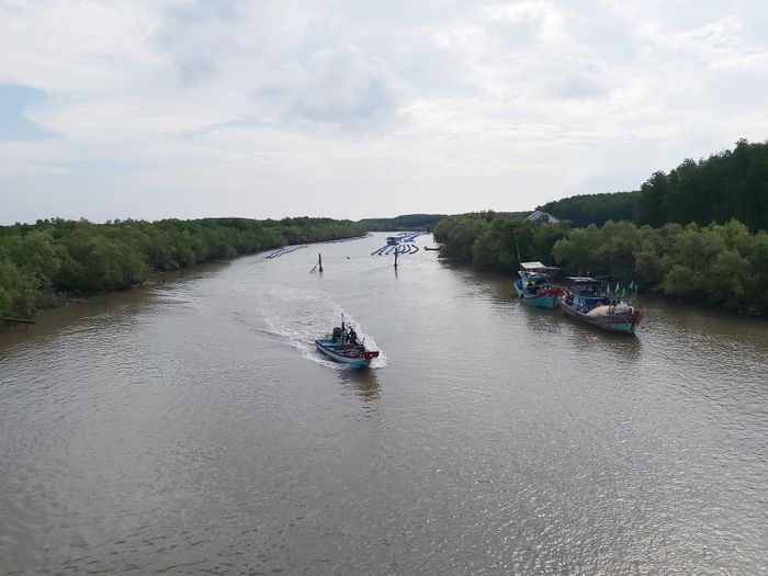 Cồn Bửng, xã Thạnh Hải điểm tập kết vũ khí từ Đoàn tàu không số vào chi viện năm xưa. Ảnh: Hòa Hội
