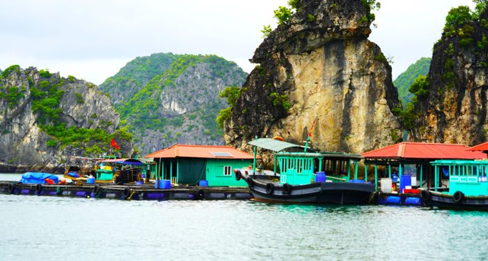 Du khách đến tham quan các làng chài trên vịnh luôn bất ngờ khi ngắm nhìn những con người, ngôi nhà, con thuyền trong không gian sóng nước mênh mông. Hình ảnh về những ngôi nhà gỗ, lớp học nổi lênh đênh trên sóng nước, các em nhỏ chèo thuyền đi học, những chiếc thuyền câu bé nhỏ cô đơn trong bóng chiều luôn ám ảnh và để lại những ấn tượng khó quên.