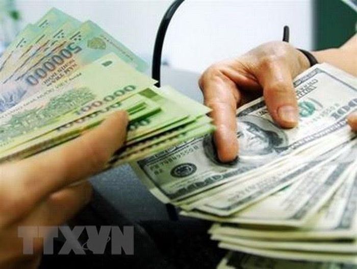 Giá USD hôm nay 7/7 giảm. Ảnh minh họa: TTXVN