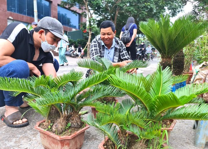 Nhiều người tìm đến chợ phiên không phải chỉ để trải nghiệm không khí tấp nập mua bán, mà đôi khi đi chợ để thỏa mãn sở thích, thú vui, ngắm nét đẹp dân dã của chợ phiên ngay giữa phố phường.