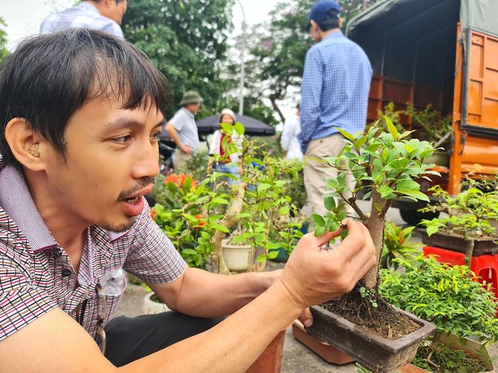 Anh Ngọc, một người khách am hiểu, có thú chơi cây cảnh đang say sưa trao đổi kinh nghiệm, kiến thức với mọi người về cách uốn, cắt tỉa, tạo thế để có một cây bonsai khỏe, đẹp.
