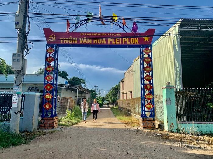 Chị Nhàn đã vận động người dân trong thôn đóng góp 19 triệu đồng cùng với sự hỗ trợ của xã làm cổng chào của làng khang trang. Ảnh: Nhật Hào