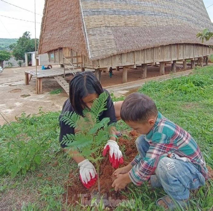  Các em nhỏ người Xơ Đăng tham gia trồng cây 