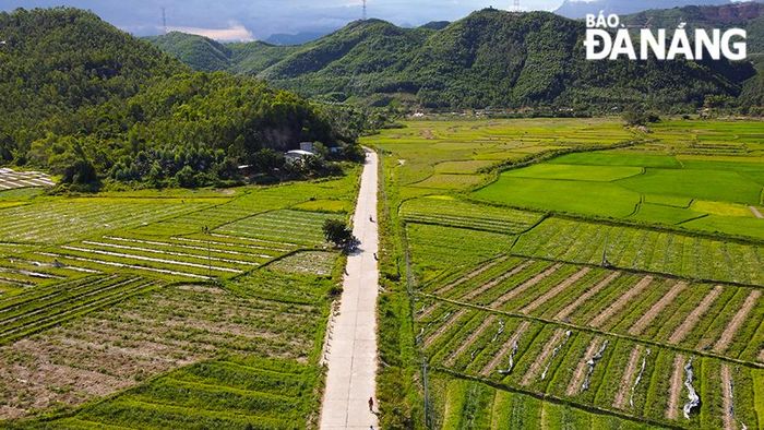 Được biết, do thời tiết năm nay có nhiều thay đổi nên sản lượng dưa hấu ở thôn Trường Định không được như mong đợi.