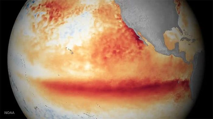 Hình ảnh vệ tinh do Cơ quan Khí quyển và Đại dương quốc gia Mỹ (NOAA) cung cấp cho thấy nhiệt độ mặt nước biển trong tháng 10/2015. Những khu vực có màu đỏ cam là khu vực có nhiệt độ trên mức trung bình, đây là dấu hiệu cho thấy sự xuất hiện của El Nino.