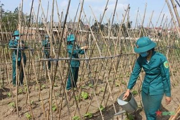 Tích cực tăng gia sản xuất, bảo đảm tốt đời sống. 