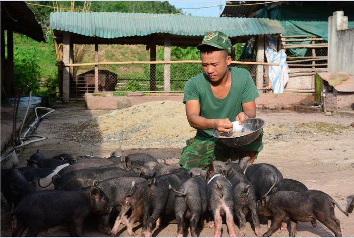 Từ kinh nghiệm VAC (vườn, ao, chuồng) của đơn vị giúp đồng bào nhân rộng mô hình chăn nuôi trên địa bàn.