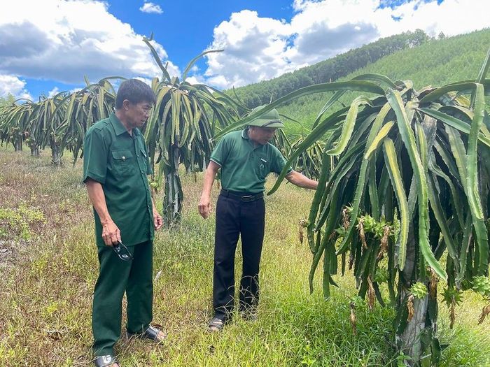  Ông Hùng (bên trái) thăm một mô hình vườn mẫu tại thôn Sơn Thịnh. Ảnh: Tiến Đông 