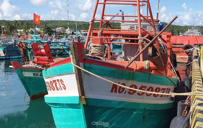 Tàu cá vi phạm được dẫn giải về cảng Hải đội 422 để tiếp tục điều tra, xử lý.