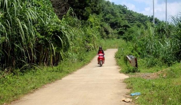 Đường lên Sinh Tàn được bêtông hóa, tạo thuận lợi cho việc đi lại và phát triển kinh tế của nhân dân. (Nguồn: Cổng Thông tin Điện tử tỉnh Phú Thọ)