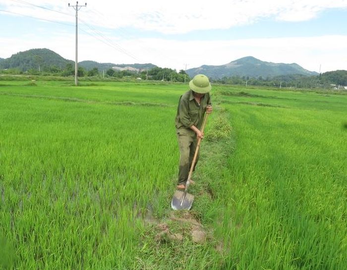 Người dân xã Hưng Yên Nam túc trực bên ruộng lúa để khơi thông, lấy nước.