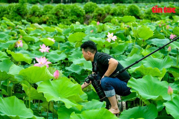 Vé vào đầm có giá 40.000 đồng/vé đối với người lớn và sinh viên, học sinh và trẻ nhỏ là 20.000 đồng.