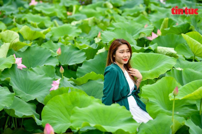 Tại đây có rất nhiều dịch vụ phục vụ nhu cầu thưởng ngoạn, chụp ảnh cho du khách như: cho thuê trang phục, thuyền hoa, chèo thuyền đi tham quan vòng quanh đầm, tận tay thu hoạch sen….
