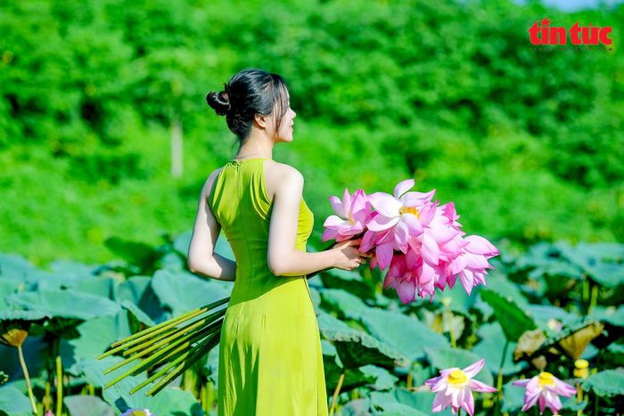 Thiếu nữ Hà Thành tạo dáng với sen hồng.