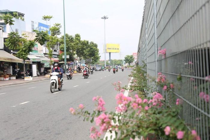 Trước đó, khu vực này thường xuyên bị đổ rác trộm. Ảnh: ĐT