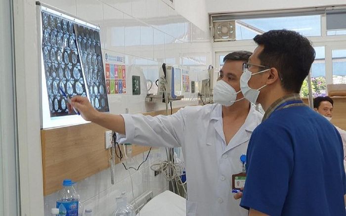 Chất salicylate có trong rễ cây mú từn làm tổn thương đến não người sử dụng. Ảnh: Suckhoedoisong.vn