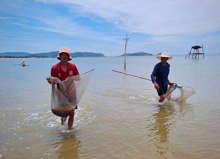 Ngư dân phấn khởi khi trúng đậm ruốc biển.
