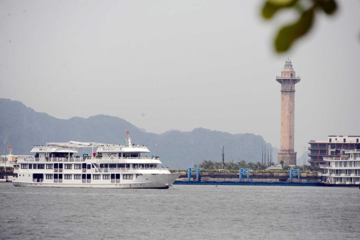 Những con tàu du lịch cũng thong dong tìm nơi tránh trú.