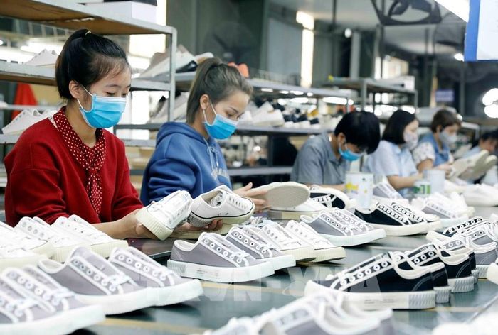 Sản xuất giày xuất khẩu sang thị trường châu Âu tại Công ty TNHH Hóa dệt Hà Tây. Ảnh: Trần Việt - TTXVN 