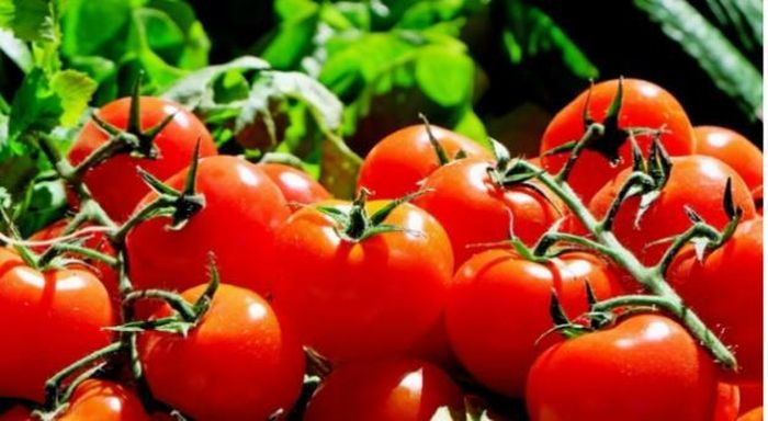 Cà chua chứa nhiều vitamin C chống oxy hóa.