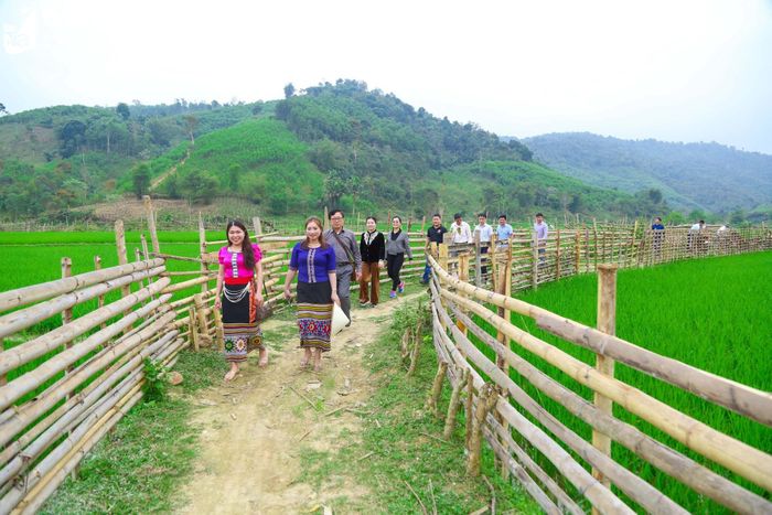 Tuy nhiên, vẫn phải nói rằng, những năm gần đây, trong tổng thể bức tranh kinh tế - xã hội của xã Bình Chuẩn xuất hiện nhiều mảng màu tươi tắn, sắc xanh của hy vọng. Ảnh: Đình Tuyên