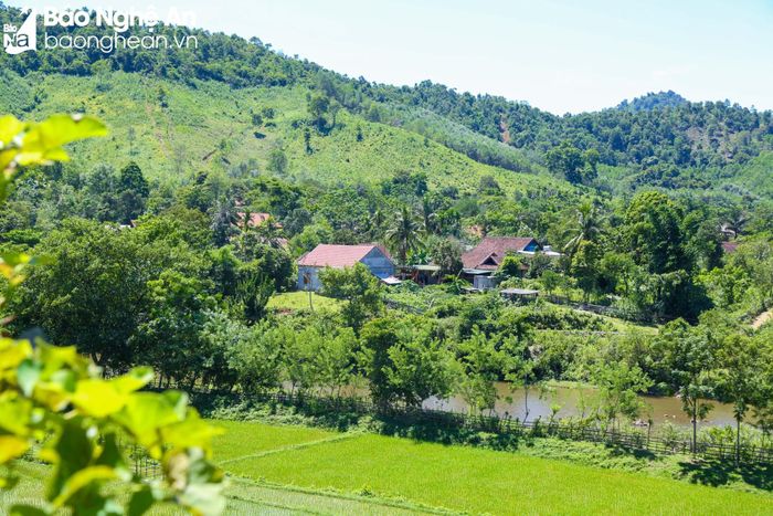 Sự phát triển kinh tế của người dân xã Bình Chuẩn gặp nhiều khó khăn, khi mà diện tích rừng phòng hộ và rừng đặc dụng chiếm phần lớn, diện tích rừng sản xuất và đất nông nghiệp rất nhỏ hẹp (đất trồng lúa chỉ có 147 ha). Ảnh: Đình Tuyên