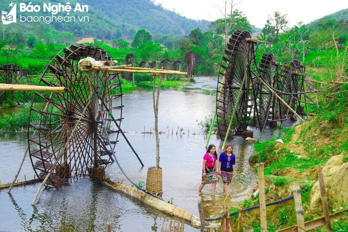 Với sự hỗ trợ của các cấp, ngành, sự nỗ lực vươn lên của người dân, trong tương lai, xã Bình Chuẩn sẽ dần thoát nghèo, xanh tươi, trù phú. Ảnh: Đình Tuyên