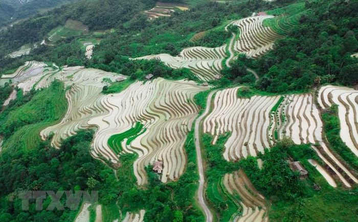  Những khoanh ruộng bậc thang được đổ đầy ắp nước như những tấm gương phản chiếu đất trời. (Ảnh: Nam Thái/TTXVN)