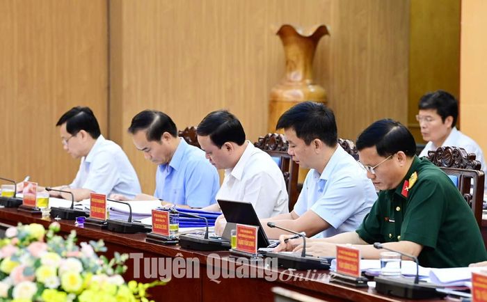 Các đồng chí Phó Chủ tịch UBND tỉnh và đại biểu dự phiên họp. Ảnh: Việt Hòa