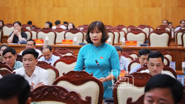 Các ĐB tham gia chất vấn một số nội dung.