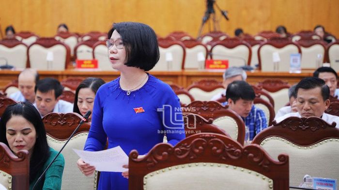 ĐB Nguyễn Thị Quốc Hòa nêu ý kiến chất vấn.