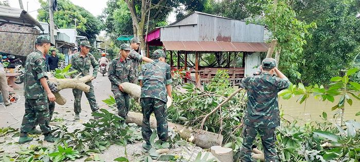 Chặt mé cây che khuất tầm nhìn; phòng giông lốc
