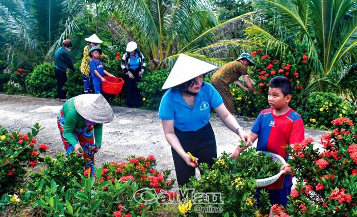 Người dân sẵn sàng chia sẻ đọt bông trang để chị em ươm nhân giống.