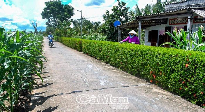“Ngân hàng cây giống” tiếp tục góp sức giữ vững và nâng chất NTM.
